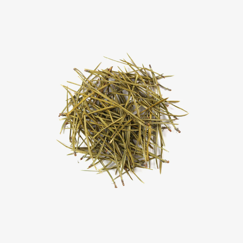 Pinus Tea