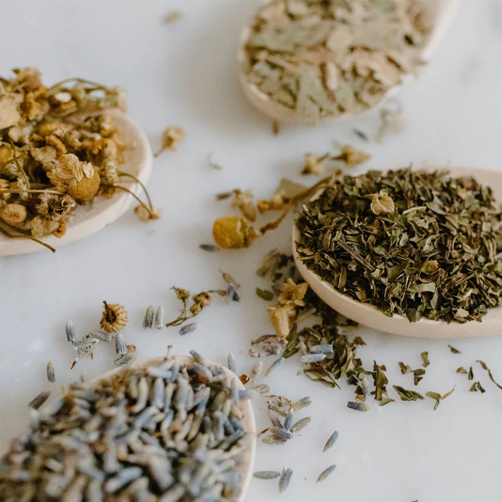 Pinus Tea