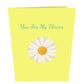 Daisy Flower Garden 3D Pop Card